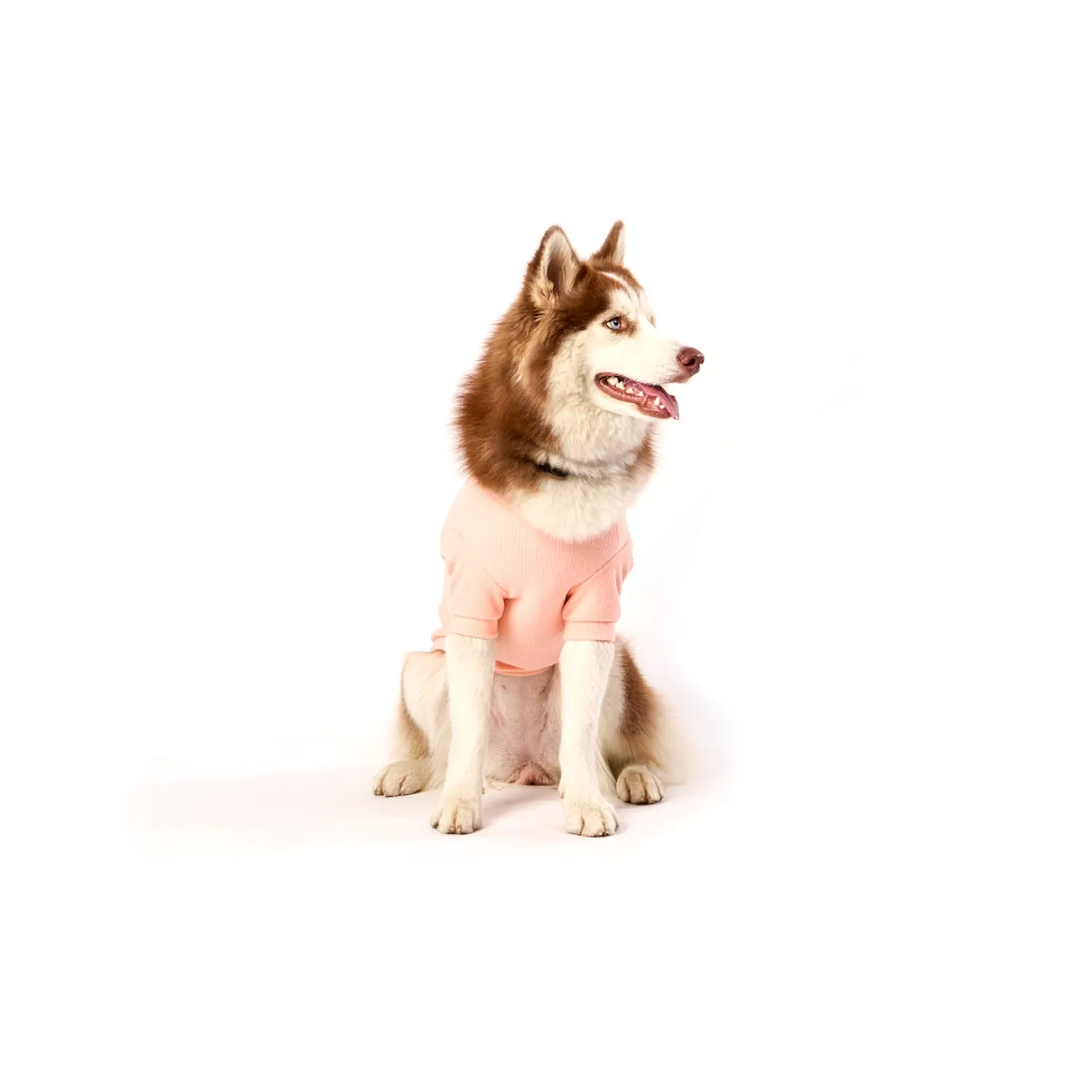 Casaco Bean para Cães e Gatos Emporium Distripet Rosa